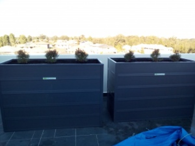 Terrace Troughs Adelaide