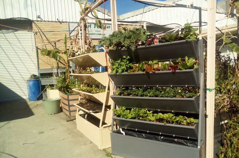 Planter Boxes Cairns